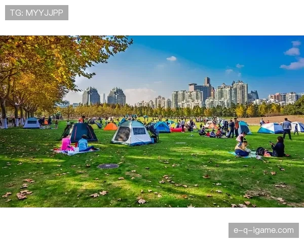 上海海港焕发新生机，世纪公园成市民休闲新地标
